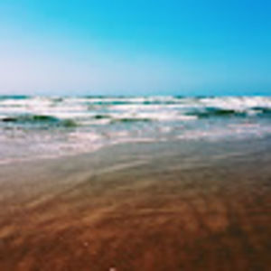 Meet your Posher, Sophia